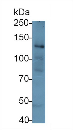 60479