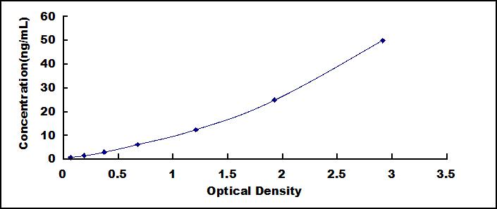 62049