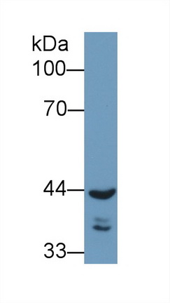 13399