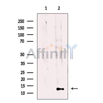 Валидация Affinity DF12028 - 6053