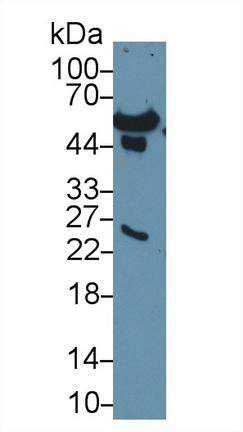 14643