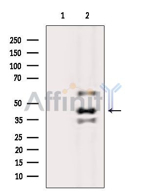 Валидация Affinity DF16085 - 12648
