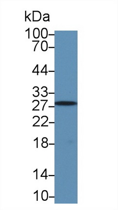 13841