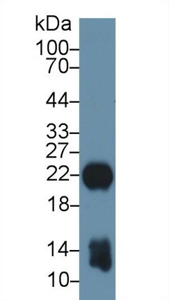 13711