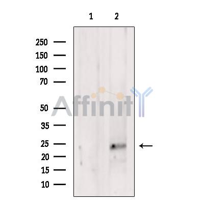 Валидация Affinity DF7077 - 18718