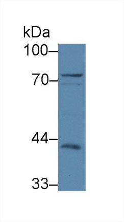 12820