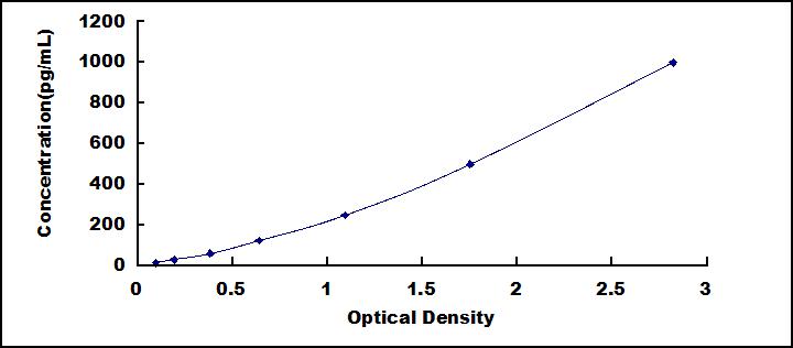 35406