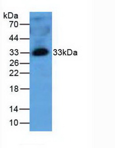 5123
