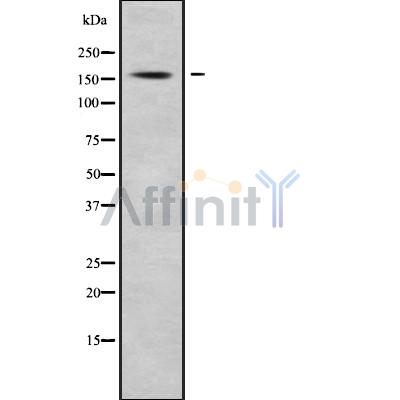 Валидация Affinity DF10120 - 5629