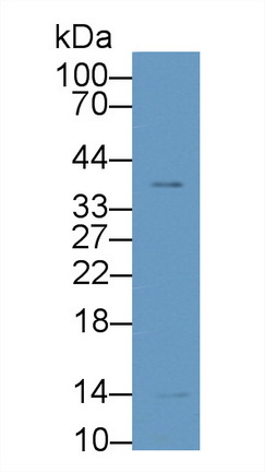 8404