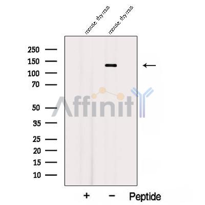 Валидация Affinity DF12813 - 7519