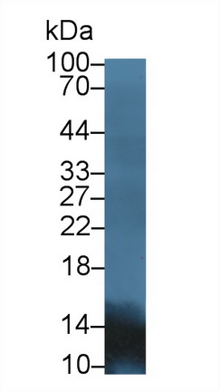13870