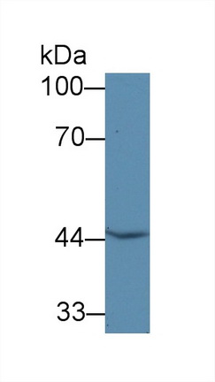12840
