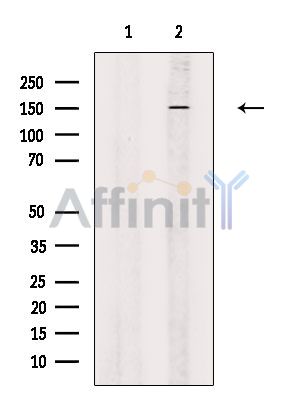 Валидация Affinity DF2632 - 13318
