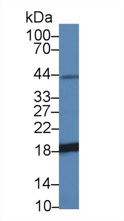 14095