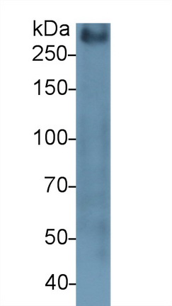 10319