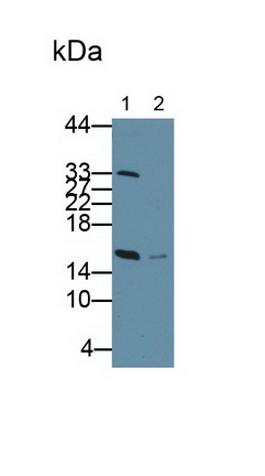 4515
