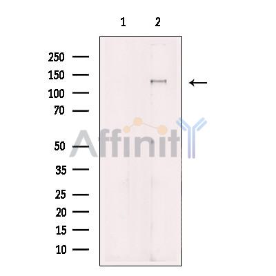 Валидация Affinity DF13260 - 8340