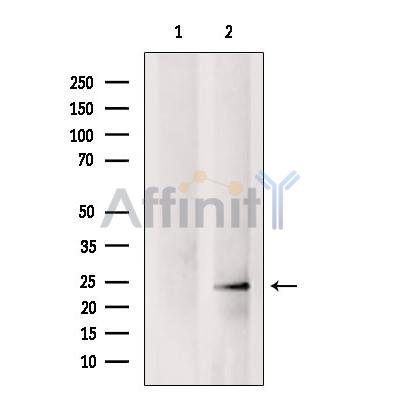 Валидация Affinity DF2273 - 12827