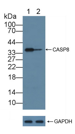 12305
