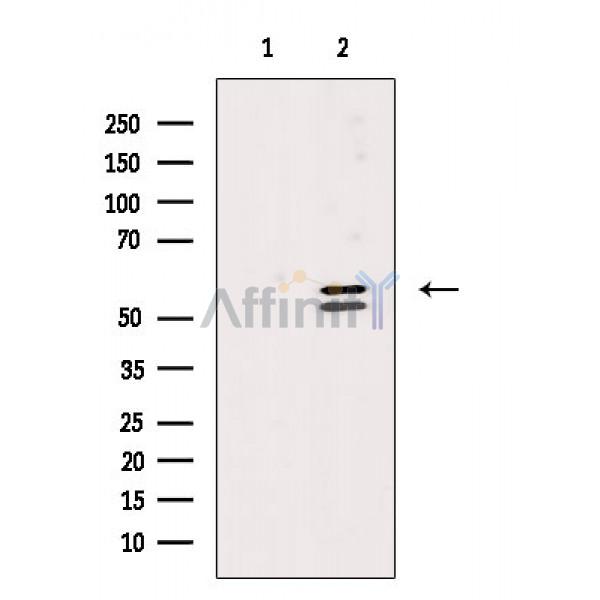 Валидация Affinity DF3189 - 14001