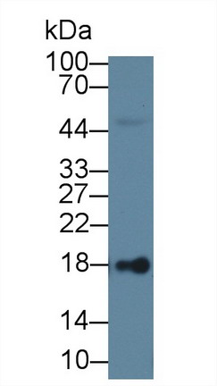 8603
