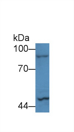 13782