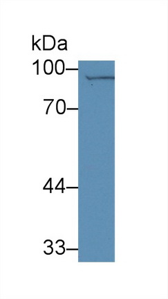 13948