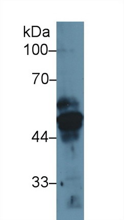 9153