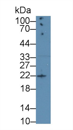 10537