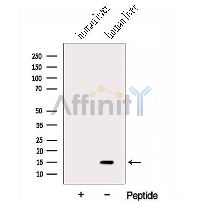 Валидация Affinity DF13072 - 7939