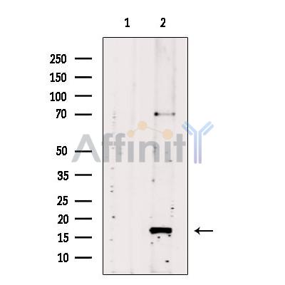 Валидация Affinity DF2262 - 12813