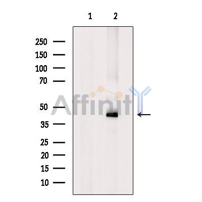 Валидация Affinity AF6199 - 3429