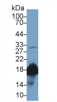 13674