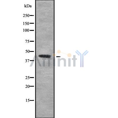 Валидация Affinity DF10124 - 5638