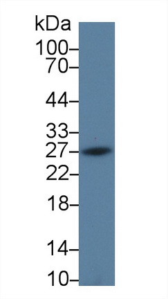 9438