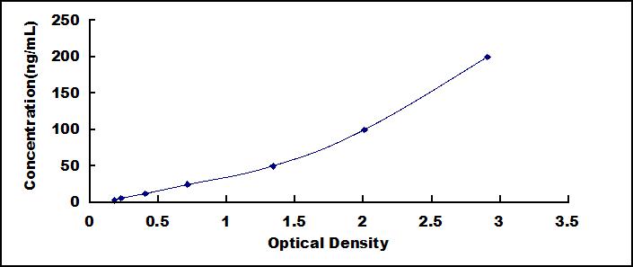 51580