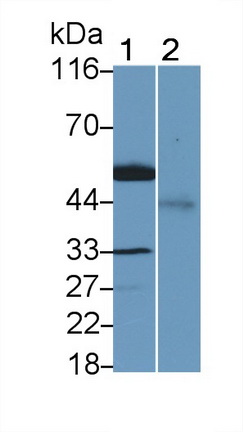 9419