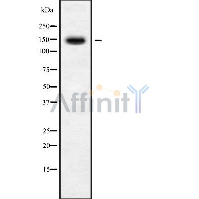 Валидация Affinity DF9872 - 22808