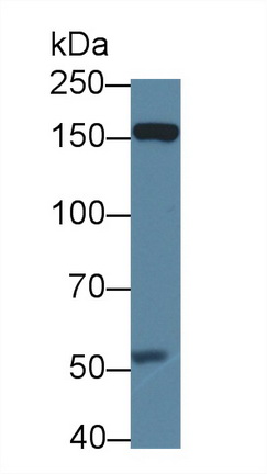 12660