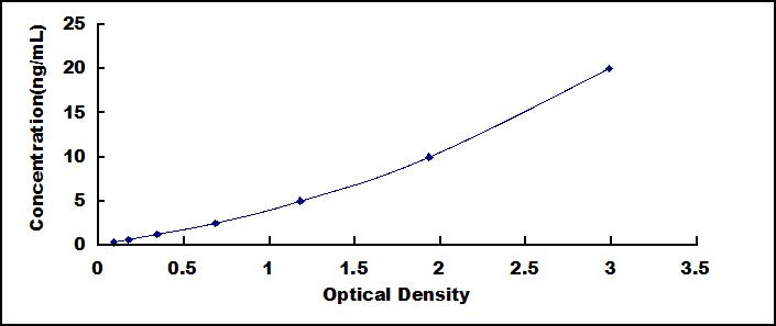 49614
