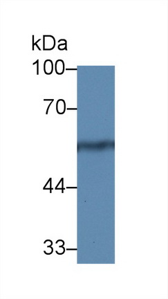 12802