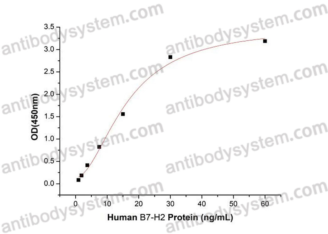 Валидация активности AntibodySystem AHB10201