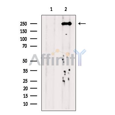 Валидация Affinity DF13563 - 9013