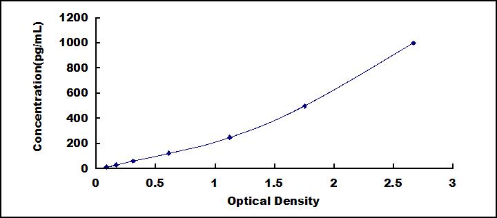 37207
