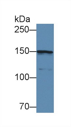 8670