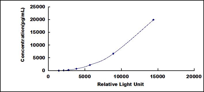 46114