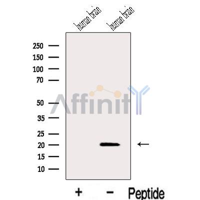 Валидация Affinity DF13083 - 7962
