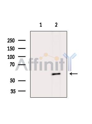 Валидация Affinity DF15541 - 11936