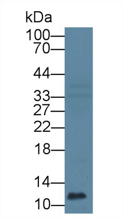 12769